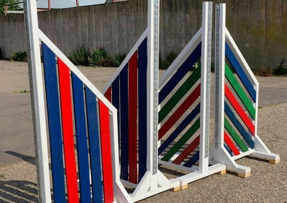 Horse Training Wings